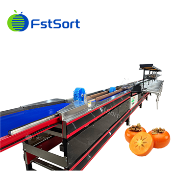 Құрмаларды тазалау және сұрыптау машинасы