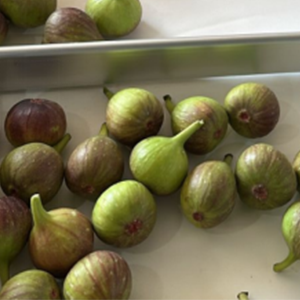 El Equipo Técnico De FstSort Asistió Remotamente Al Cliente Brasileño La Clas...